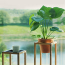 Dot Aarhus Wood Up Shelf & Stand (65cm) - warehouse